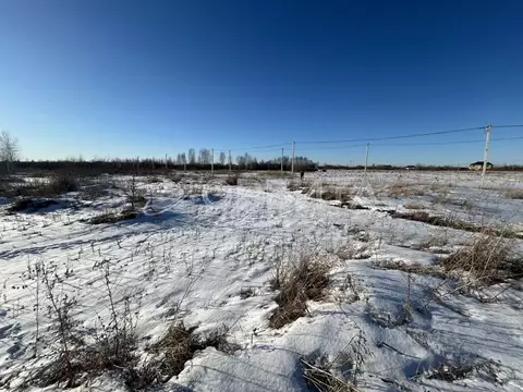 Участок в Тюменская область, Тюмень Дубок садовое товарищество,  (8.6 ...