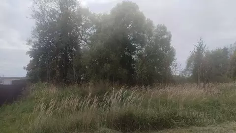 Участок в Московская область, Можайский муниципальный округ, д. Холм  ...