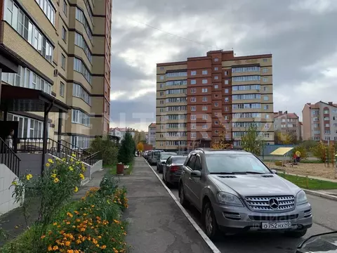 1-к кв. Калужская область, Малоярославец Звездная ул., 14/1 (33.7 м)