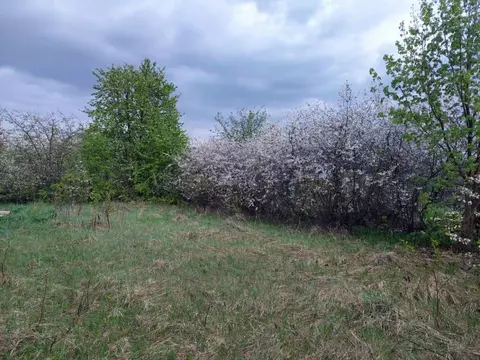 Дом в Татарстан, Пестречинский район, Кощаковское с/пос, Родник СНТ ...