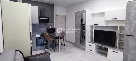 Студия Санкт-Петербург ул. Верхне-Каменская, 11к1 (25.3 м)