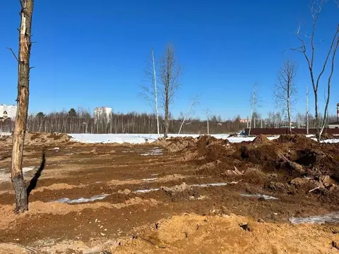 Участок в Московская область, Истра муниципальный округ, д. Исаково  ...