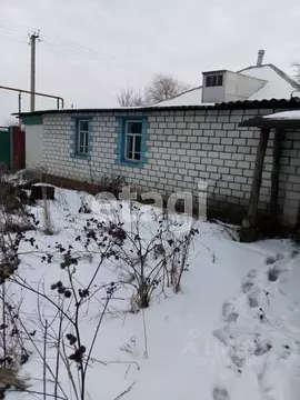 Дом в Белгородская область, Красногвардейский район, Палатовское ...