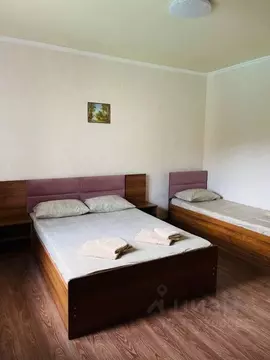 Комната Краснодарский край, Туапсинский муниципальный округ, с. ...