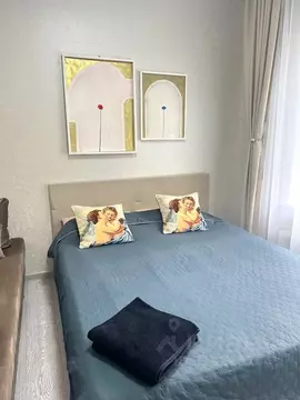 1-к кв. Новосибирская область, Новосибирск ул. Сибиряков-Гвардейцев, ...