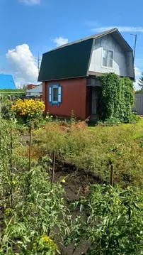 Дом в Омская область, Омск СОСН Моторостроитель тер.,  (50 м)