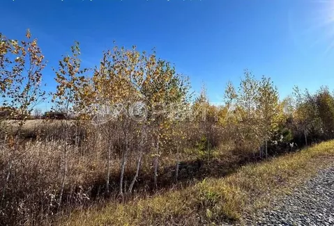 Участок в Тюменская область, Тюменский муниципальный округ, ...