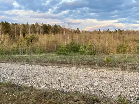 Участок в Владимирская область, Александровский муниципальный округ, ...