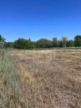 Участок в Ростовская область, Аксайский район, Большелогское с/пос, ...