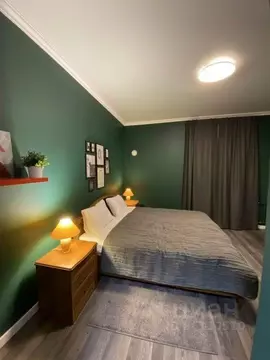 1-к кв. Псковская область, Псков ул. Ижорского Батальона, 57А (25.0 м)