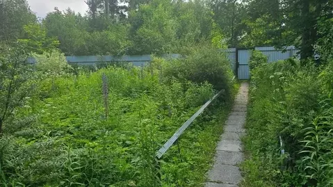 Участок в Ленинградская область, Ломоносовский район, Лебяженское ...