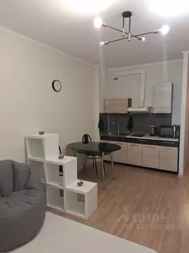 Студия Санкт-Петербург ул. Адмирала Черокова, 18к2 (24.1 м)