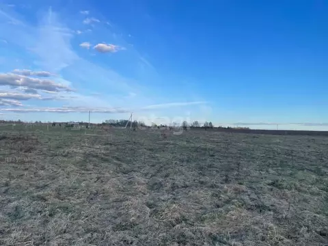 Участок в Костромская область, Красносельский район, Гридинское с/пос, ...