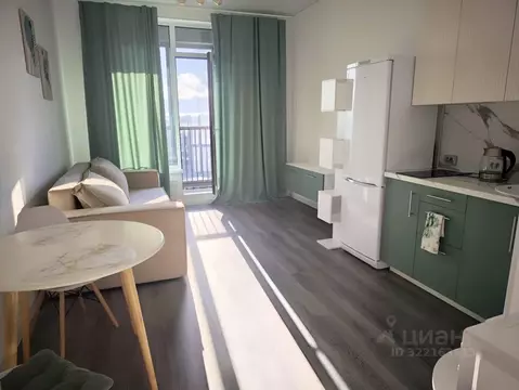 Студия Санкт-Петербург Светлановский просп., 14к1 (25.0 м)