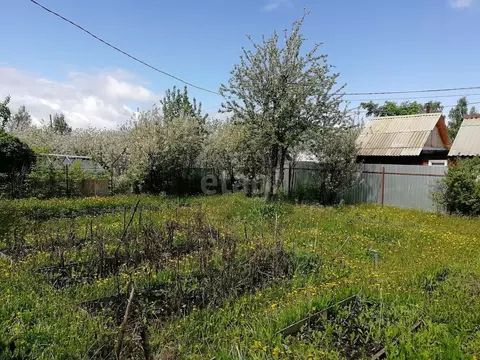 Участок в Челябинская область, Озерск № 10 Тюльпан СНТ,  (3.6 сот.)