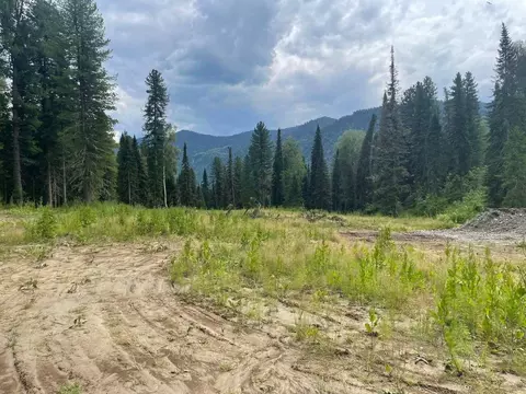 Участок в Алтай, Турочакский район, с. Артыбаш  (90.0 сот.)