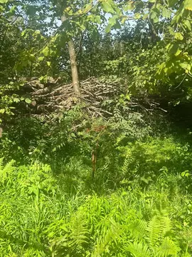 Продается участок в д. Опритово