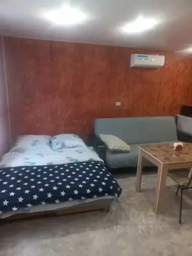 Студия Приморский край, Артем Амурская ул., 24 (25.0 м)