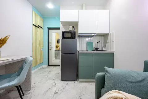 Студия Санкт-Петербург Студенческая ул., 14к1 (21.0 м)