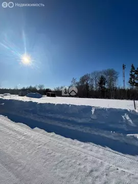 Участок в Быстровский сельсовет, коттеджный посёлок Экопарк, 234 (10 ...