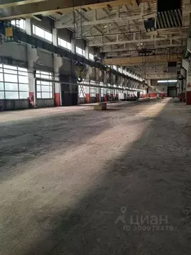 Производственное помещение в Ульяновская область, Димитровград ...