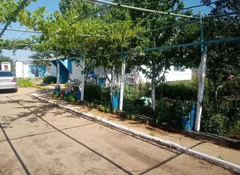 Дом в Крым, Раздольненский район, Зиминское с/пос, с. Зимино ул. ...