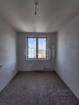 Студия Красноярский край, Красноярск ул. Лесников, 49 (22.3 м)