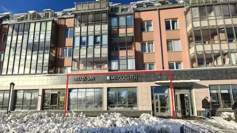 Помещение свободного назначения в Санкт-Петербург ул. Георгия Гречко, ...