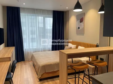 Студия Санкт-Петербург просп. Энергетиков, 8к2 (24.55 м)