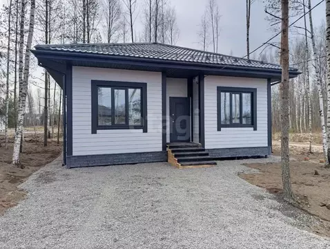 Дом в Ленинградская область, Всеволожское городское поселение, СОСН ...