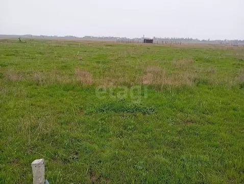 Участок в Крым, Ленинский район, Батальненское с/пос, Нептун СНТ  (8.0 ...