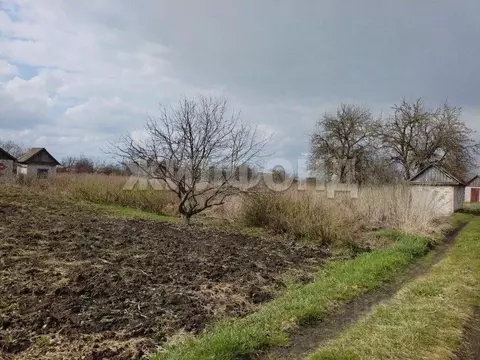 Участок в Брянская область, Брянский район, пос. Мичуринский  (5.0 ...
