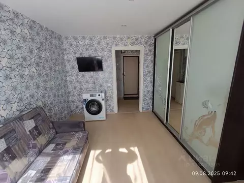 Студия Курганская область, Курган Половинская ул., 8 (19.0 м)