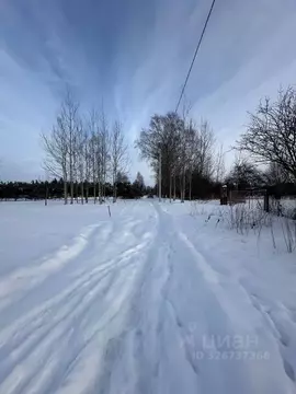 Участок в Псковская область, Печорский муниципальный округ, д. ...