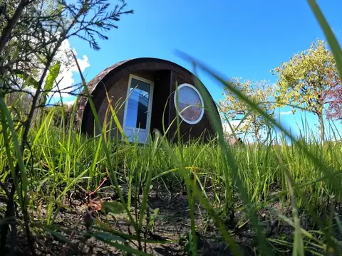 Дом в Краснодарский край, Сочи городской округ, с. Галицыно, Вестник ...