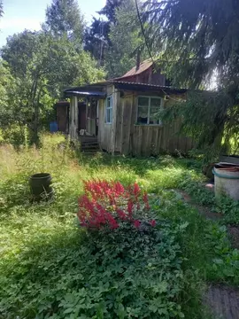 Участок в Ленинградская область, Волховский район, Кисельнинское ...