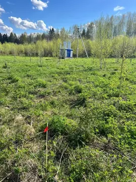 Участок в Пермский край, д. Сухая  (10.0 сот.)