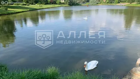 Участок в Одинцовский городской округ, КП Мэдисон парк (106 м)