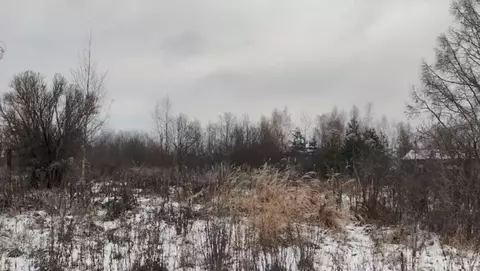 Участок в Московская область, Щелково городской округ, д. Орлово ул. ...