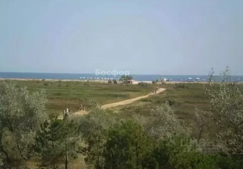 Участок в Крым, Ленинский район, Останинское с/пос, с. Песочное ул. ...