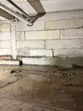 Помещение свободного назначения в Ставропольский край, Ставрополь ул. ...