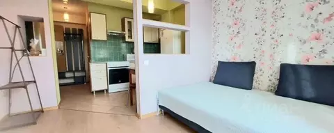 Студия Краснодарский край, Сочи ул. Верхняя Лысая Гора, 26Б (27.0 м)