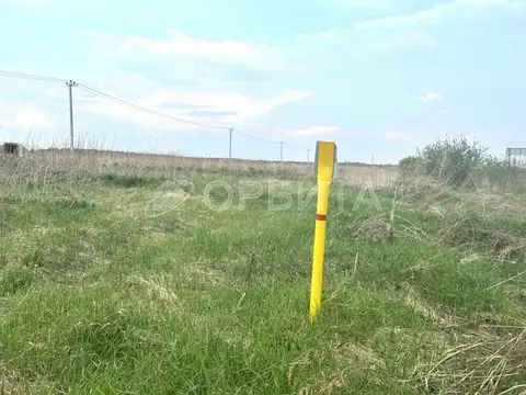 Участок в Тюменская область, Тюменский муниципальный округ, д. ...