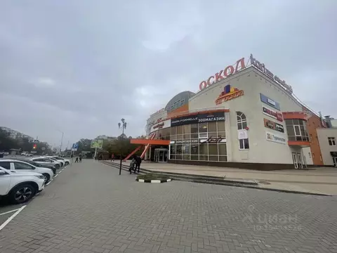 Помещение свободного назначения в Белгородская область, Старый Оскол ...