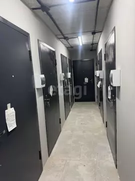 Помещение свободного назначения в Ставропольский край, Ставрополь ул. ...