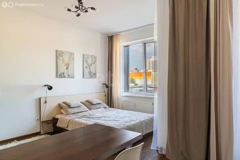 Квартира-студия: Санкт-Петербург, Торфяная дорога, 17к6 (26 м)