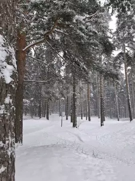 1-к кв. Ярославская область, Ярославль Красноборская ул., 19 (44.5 м)