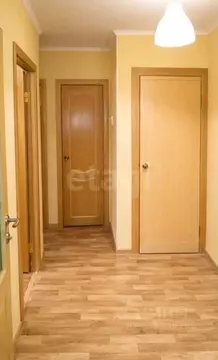 2-к кв. Санкт-Петербург Народная ул., 39 (42.3 м)