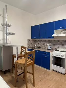 Студия Ленинградская область, Кудрово г. Всеволожский район, Заневское ...