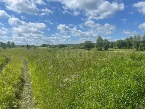 Участок в Ярославская область, Первомайский муниципальный округ, д. ...